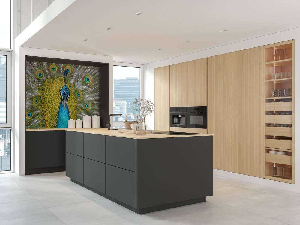 Front view of a peacock